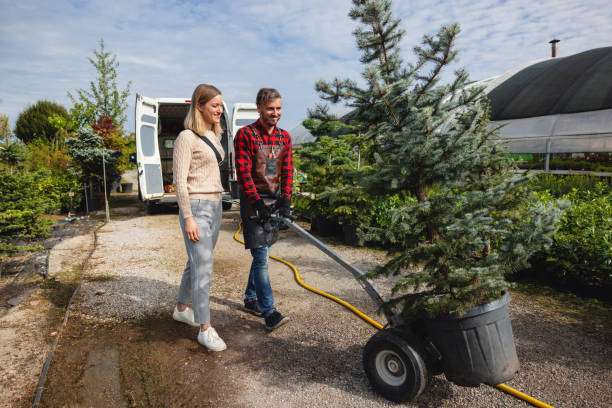 Best Fruit Tree Pruning  in Urbana, IL